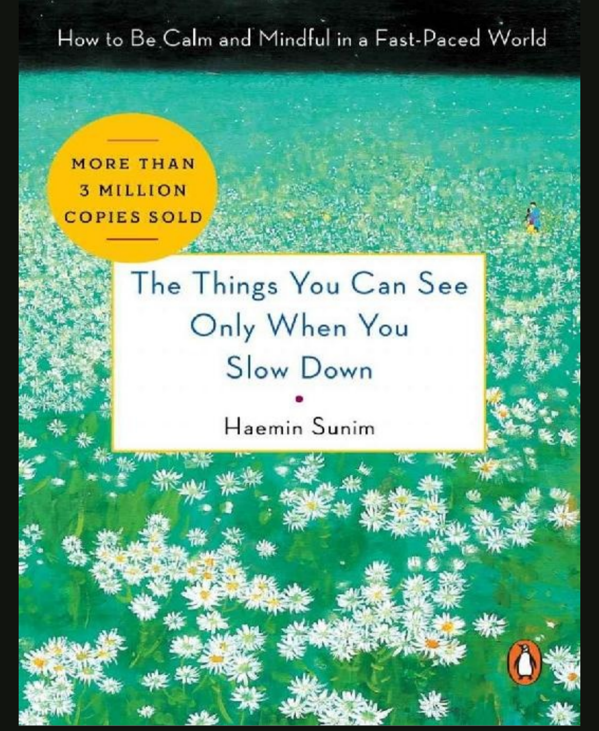 Cover of The Things You Can See Only When You Slow Down