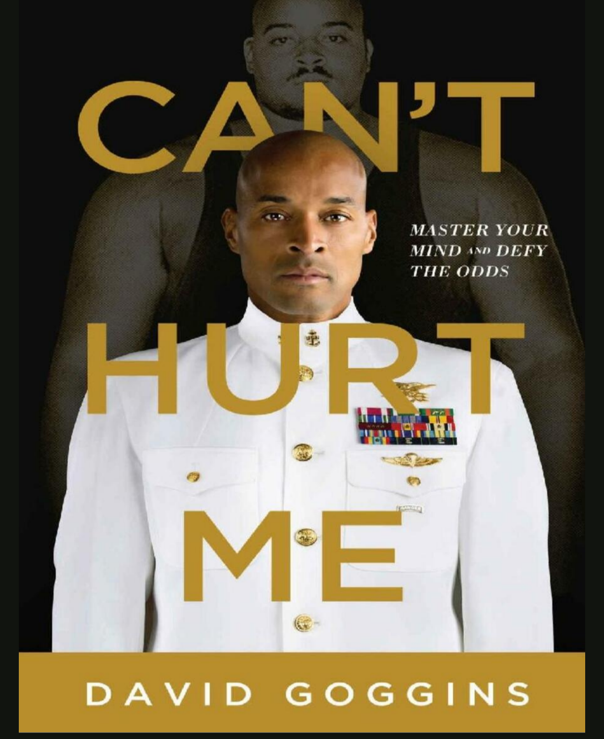 Cover of Can't hurt me